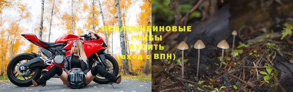 герыч Абаза