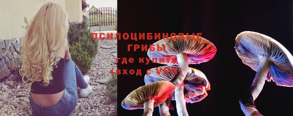 бошки Кущёвская