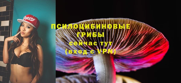 кокс Алзамай