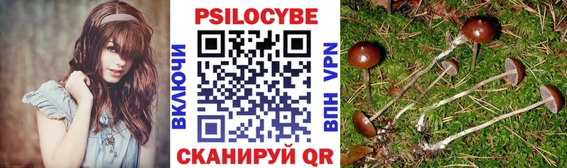 МЕГА зеркало где можно купить маркетплейс официальный сайт Галлюциногенные грибы Psilocybine cubensis Электроугли